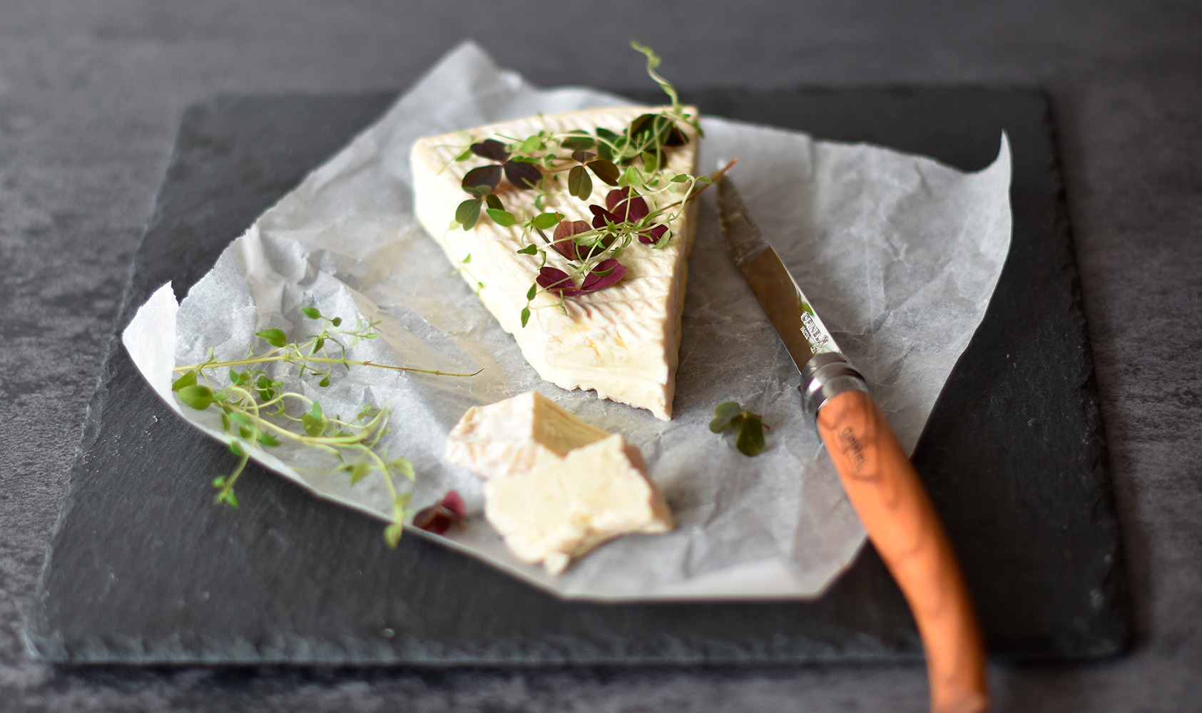 Cheesetalks.com – new cheese blog