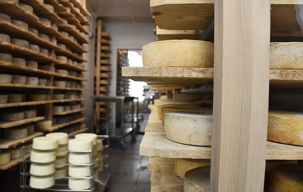 Urban dairies in Paris